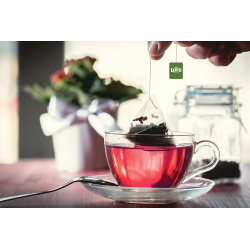 Loyd Raspberry and Lemon Fruit Tea, 20 bags