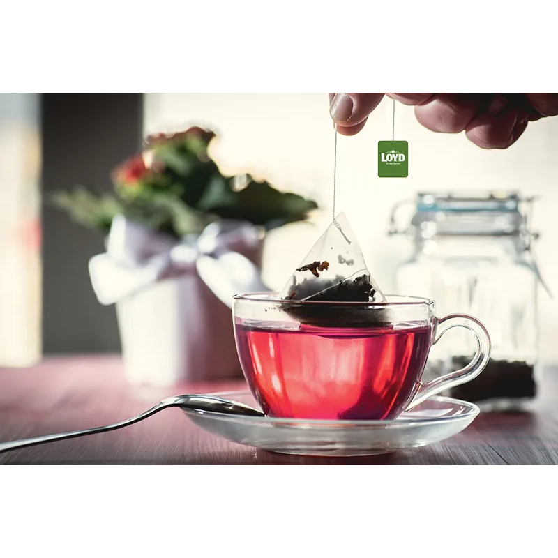 Loyd Raspberry and Lemon Fruit Tea, 20 bags