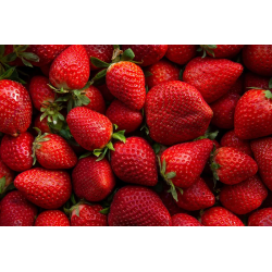 Mokate Strawberry-flavoured Matcha Latte, 6 sachets