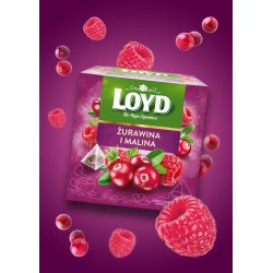 Herbatka owocowa Loyd Żurawina i Malina 20 torebek