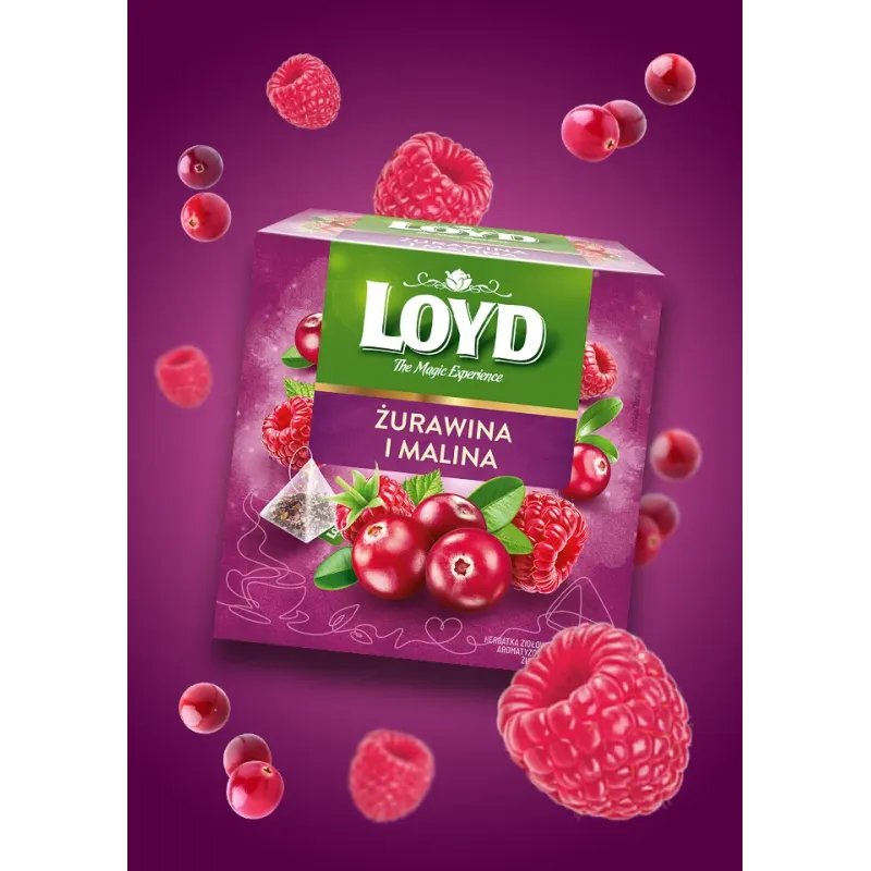 Loyd Cranberry and Raspberry Fruit Tea, 20 bags