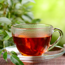 Loyd Raspberry-flavoured Fruit and Herbal Tea, 20 bags