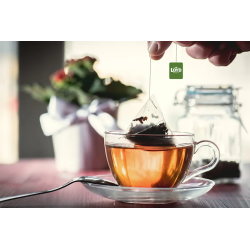 Herbatka owocowa LOYD Pomarańcza i Grejpfrut 20 torebek