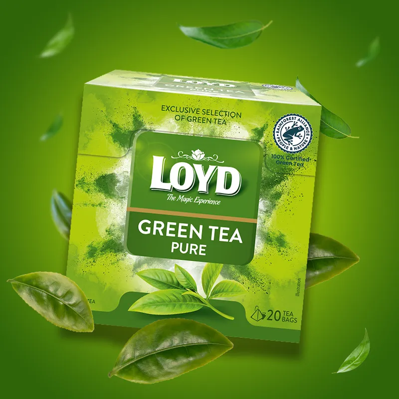LOYD Green Tea Pure - zielona herbata 20 torebek