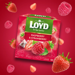 Herbatka owocowa LOYD Malina i Truskawka 50 torebek