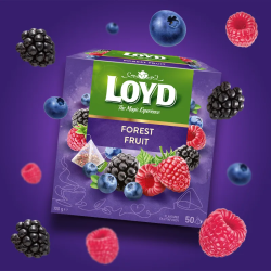 Herbatka owocowa LOYD Forest Fruti 50 torebek Owoce Leśne