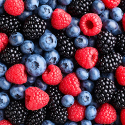 Herbatka owocowa LOYD Forest Fruti 50 torebek Owoce Leśne