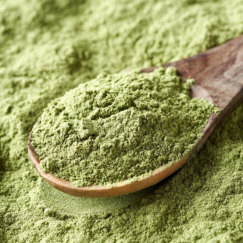 Zielona Herbata Ekspresowa Loyd z Matcha Green Tea Loyd 20 x 1.5g
