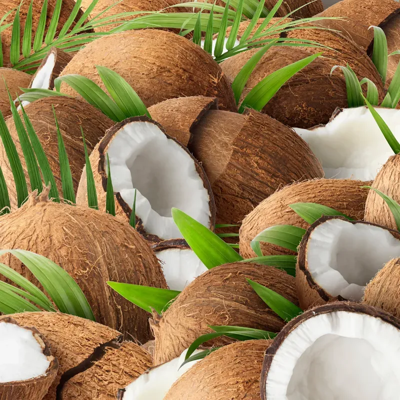 Ice Matcha Latte Coconut Mokate napój matcha kokosowy 6 saszetek