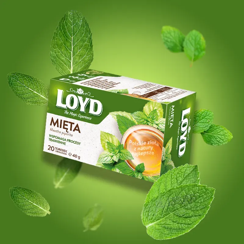 Loyd Mint Herbal Tea, 20 bags