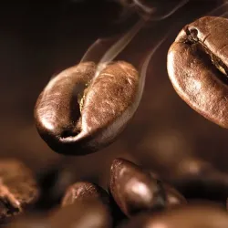 TURTLE Kawa ziarnista, świeżo palona Ethiopia Sidamo - 1kg
