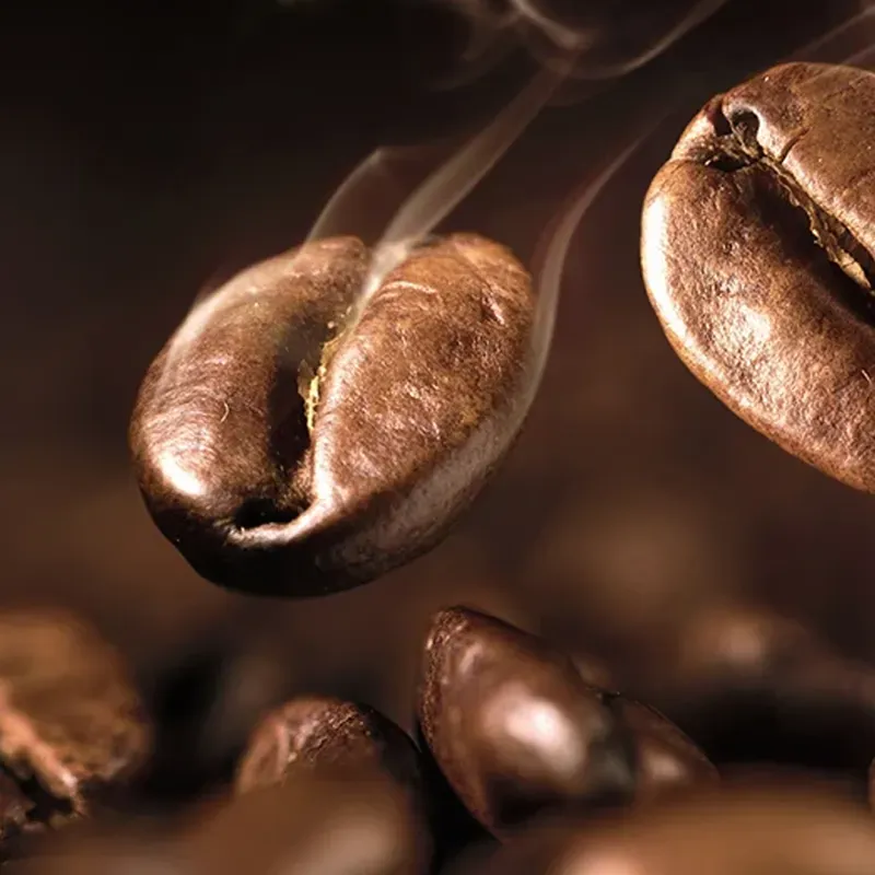 TURTLE Kawa ziarnista, świeżo palona Ethiopia Sidamo - 1kg