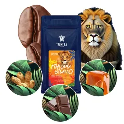 TURTLE Kawa ziarnista, świeżo palona Ethiopia Sidamo - 1kg