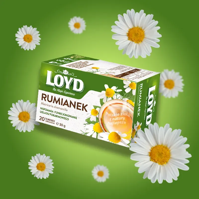 Herbatka ziołowa Loyd Rumianek 20 torebek