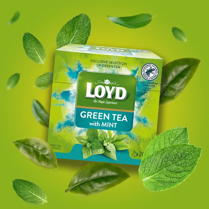 Loyd Green Tea with Mint, 20 tea bags