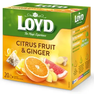 LOYD CITRUS AND GINGER FRUIT TEA, 20 BAGS