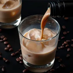 Cappuccino Mokate TO GO irish cream vending 1 kg