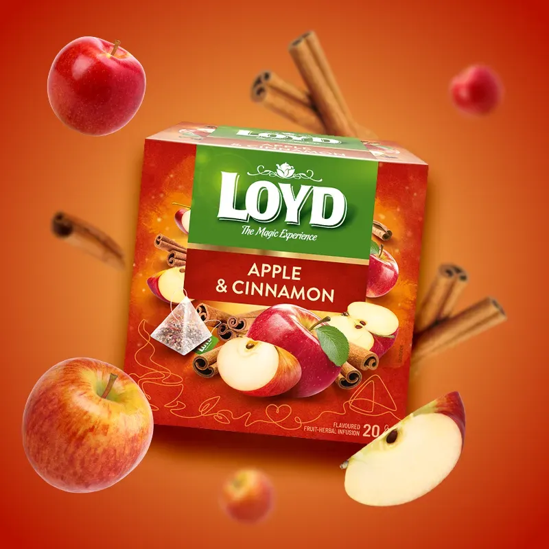HERBATKA OWOCOWA LOYD JABŁKO Z CYNAMONEM 20 TOREBEK