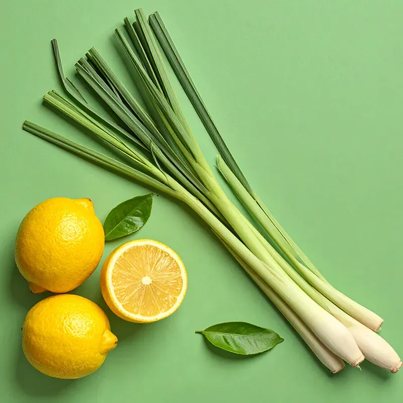Loyd Lemon and Lemongrass Green Tea, 20 tea bags