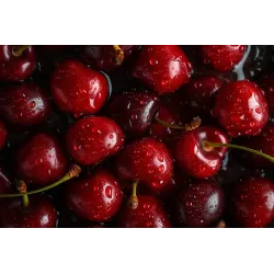 Loyd Sweet Cherry Fruit Tea, 20 bags