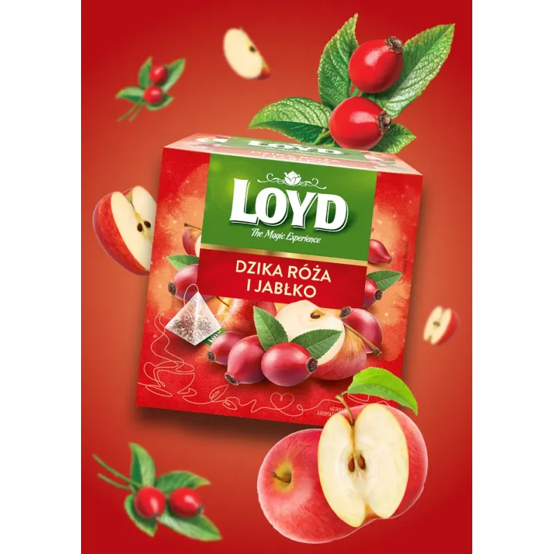 Herbatka owocowa Loyd Dzika Róża i Jabłko 20 torebek