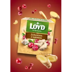 Loyd Cranberry and Ginger Fruit Tea, 20 bags