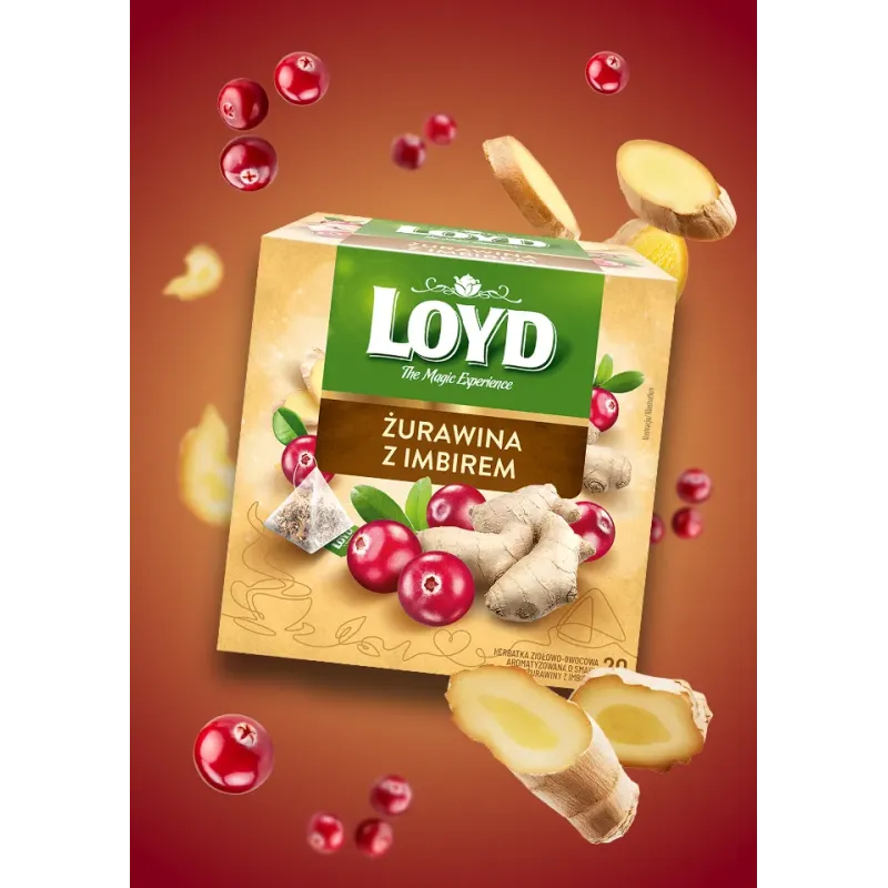 Loyd Cranberry and Ginger Fruit Tea, 20 bags