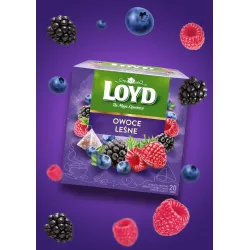 Loyd Forest Fruits Fruit Tea, 20 bags