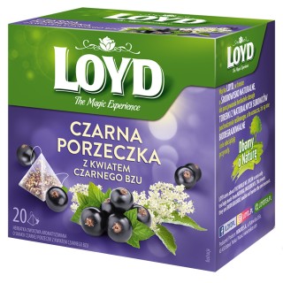 Herbatka owocowa Loyd Czarna Porzeczka i Czarny Bez 20 torebek
