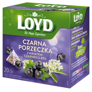 Herbatka owocowa Loyd Czarna Porzeczka i Czarny Bez 20 torebek