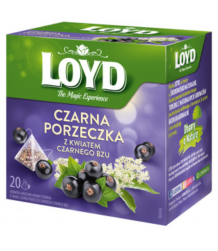 Herbatka owocowa Loyd Czarna Porzeczka i Czarny Bez 20 torebek