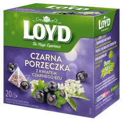 Herbatka owocowa Loyd Czarna Porzeczka i Czarny Bez 20 torebek