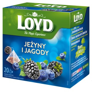 Loyd Blueberry and Blackberry Fruit Tea, 20 bags