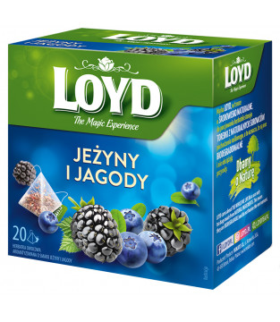 Loyd Blueberry and Blackberry Fruit Tea, 20 bags