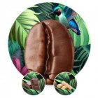 TURTLE Kawa ziarnista, świeżo palona D’oro selezione - 1kg TURTLE Kawa ziarnista, świeżo palona D’oro selezione - 1kg