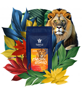 TURTLE Coffee beans, freshly roasted Ethiopia Sidamo – 1kg
