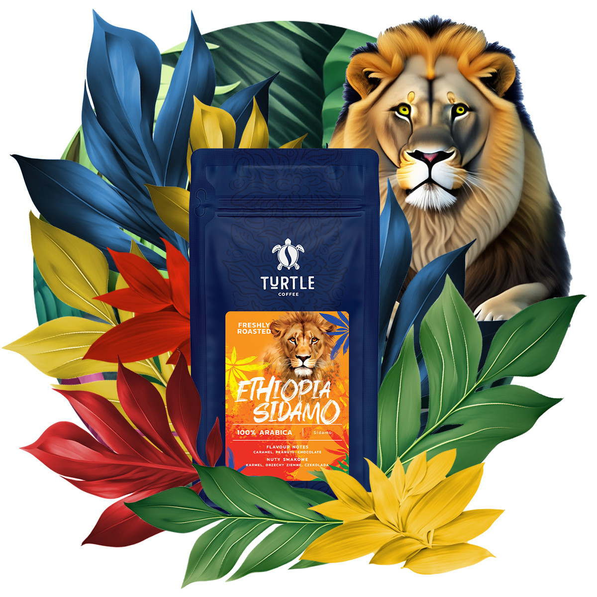 TURTLE Coffee beans, freshly roasted Ethiopia Sidamo – 1kg