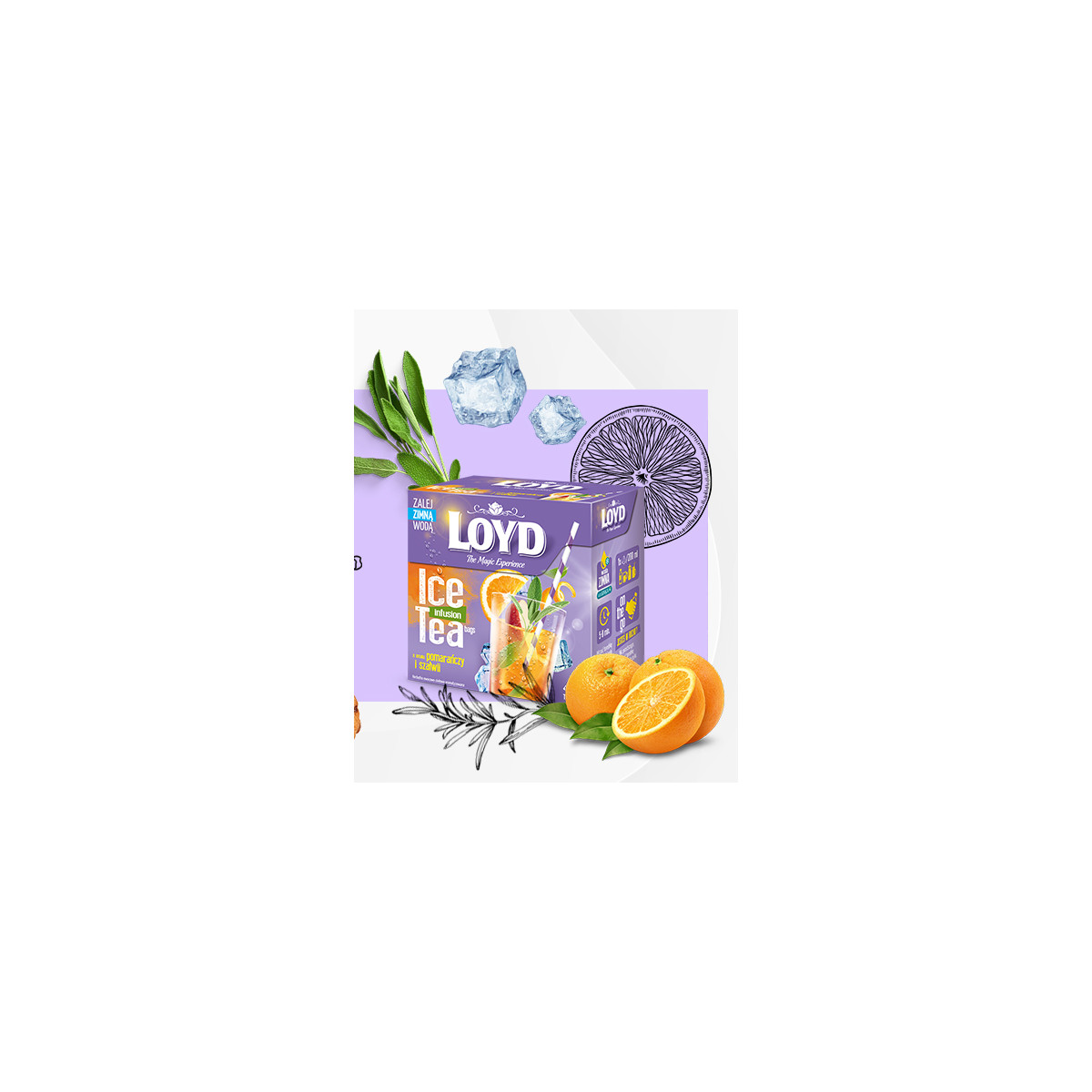 Loyd Orange and Sage Iced Tea, 12 bags