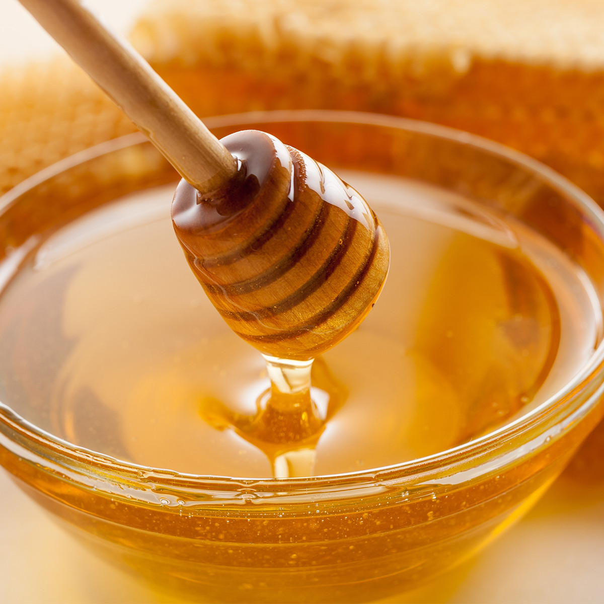 HORECA ROOIBOS MANUKA TEA 20x1.7g PREMIUM PYRAMID BAGS