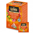 HERBATA HORECA ROOIBOS MANUKA 20X1,7G PIRAMIDKI PREMIUM