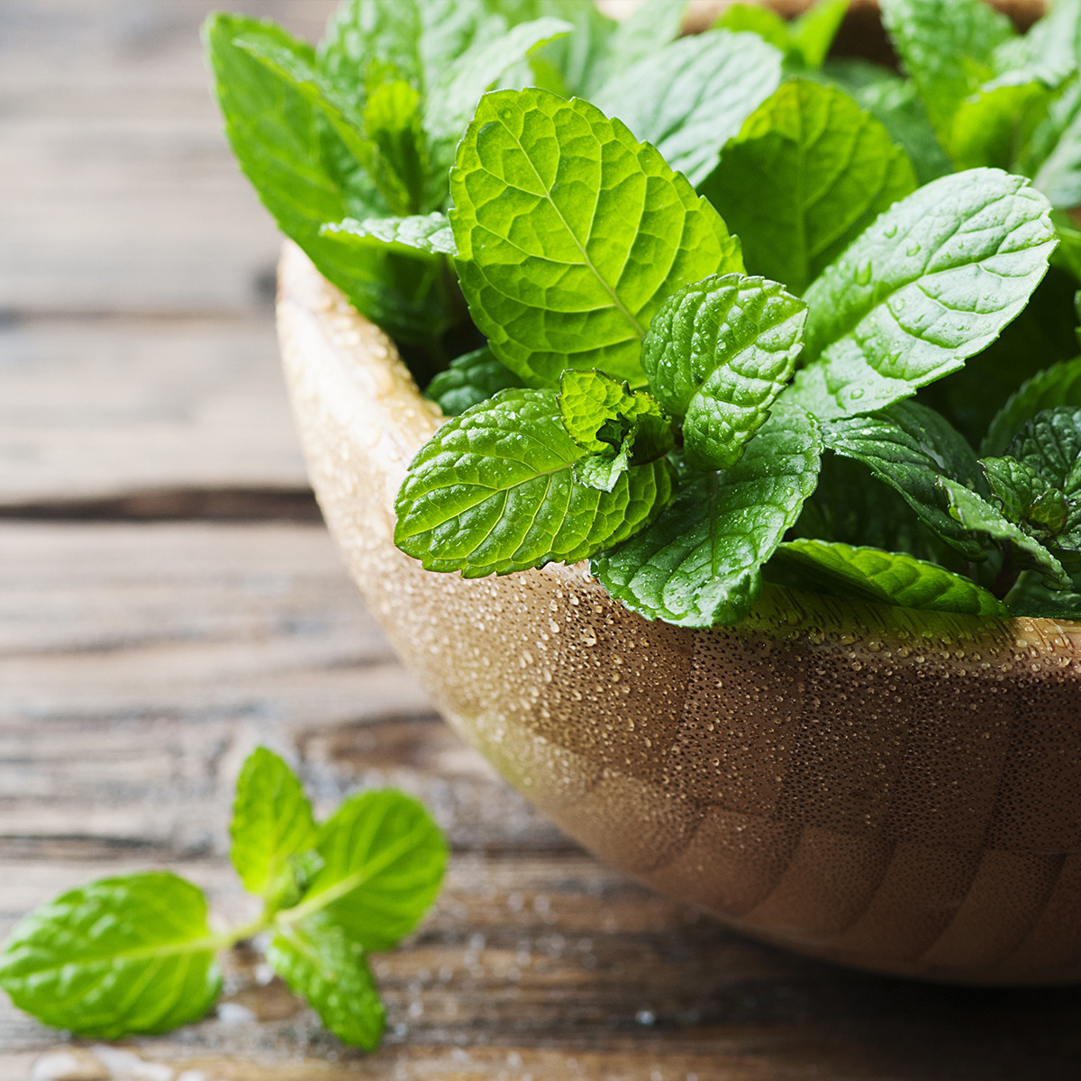 HORECA MINT TEA 20x2g PREMIUM PYRAMID BAGS