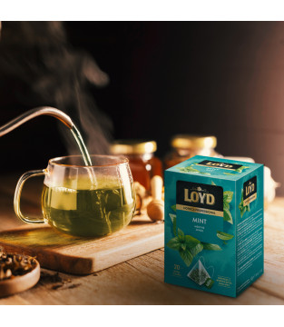 HORECA MINT TEA 20x2g PREMIUM PYRAMID BAGS