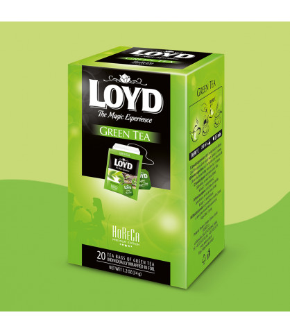 Herbata HORECA Loyd Green Tea 20 torebek