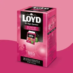 Herbatka HORECA Loyd Rosehip & Raspberry 20 torebek