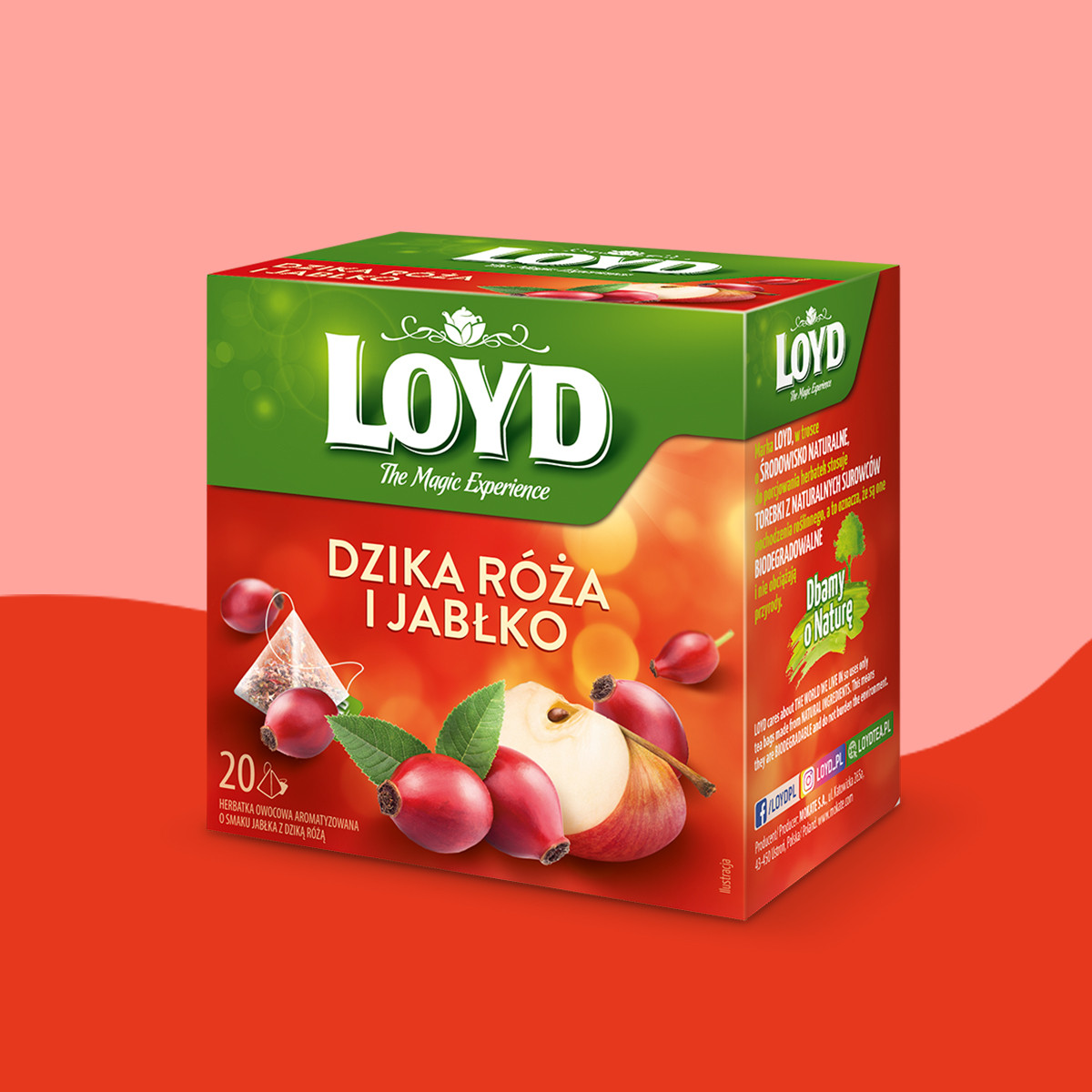 Loyd Wild Rose and Apple Fruit Tea, 20 bags