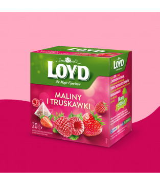 Loyd Raspberry and Strawberry Fruit Tea, 20 bags