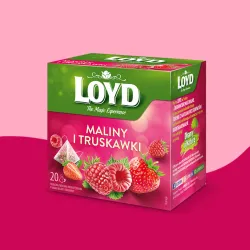 Loyd Raspberry and Strawberry Fruit Tea, 20 bags