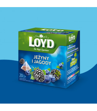 Loyd Blueberry and Blackberry Fruit Tea, 20 bags