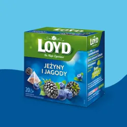 Loyd Blueberry and Blackberry Fruit Tea, 20 bags