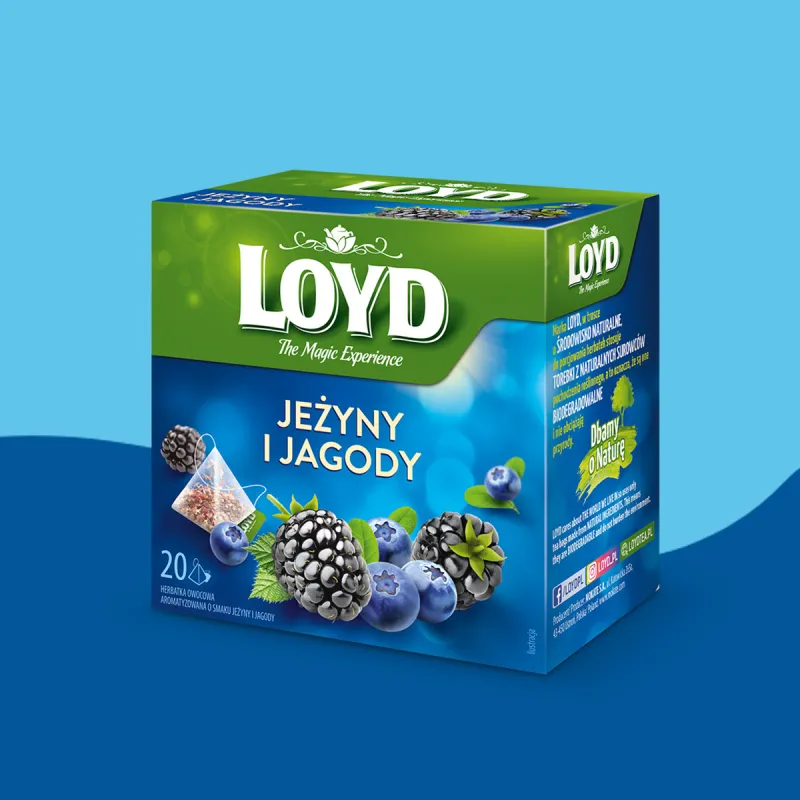 Loyd Blueberry and Blackberry Fruit Tea, 20 bags